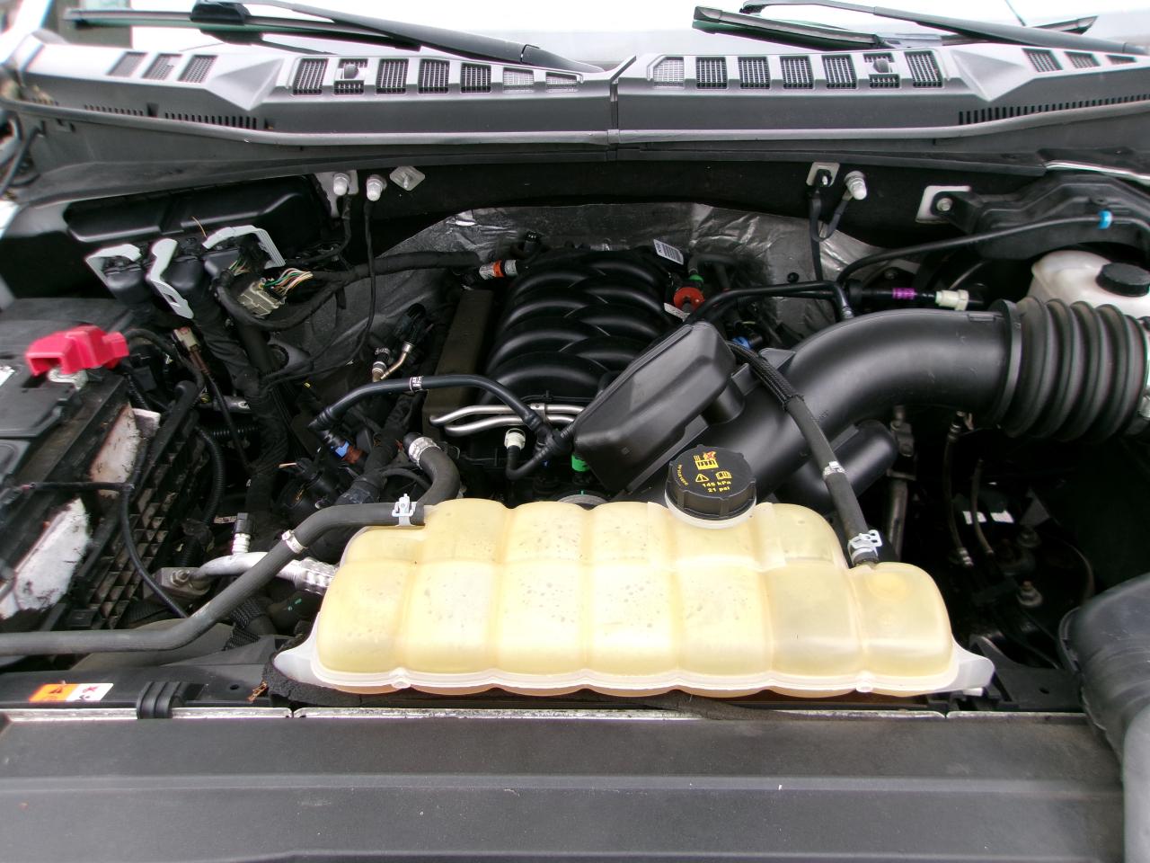 Ford F-150 XL SuperCrew 6.5-ft. Bed 4WD 2019