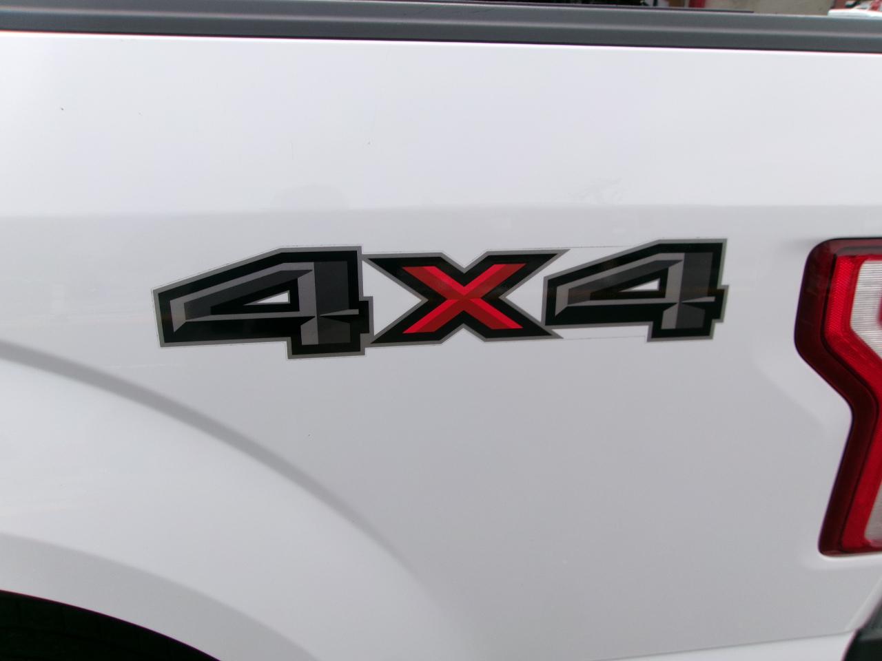 Ford F-150 XL SuperCrew 6.5-ft. Bed 4WD 2019