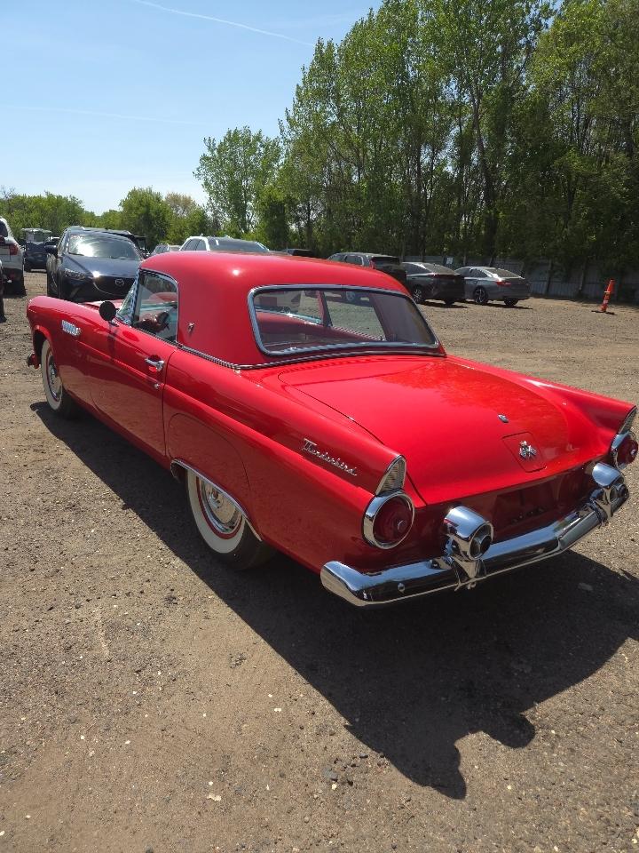 Ford Thunderbird  1955