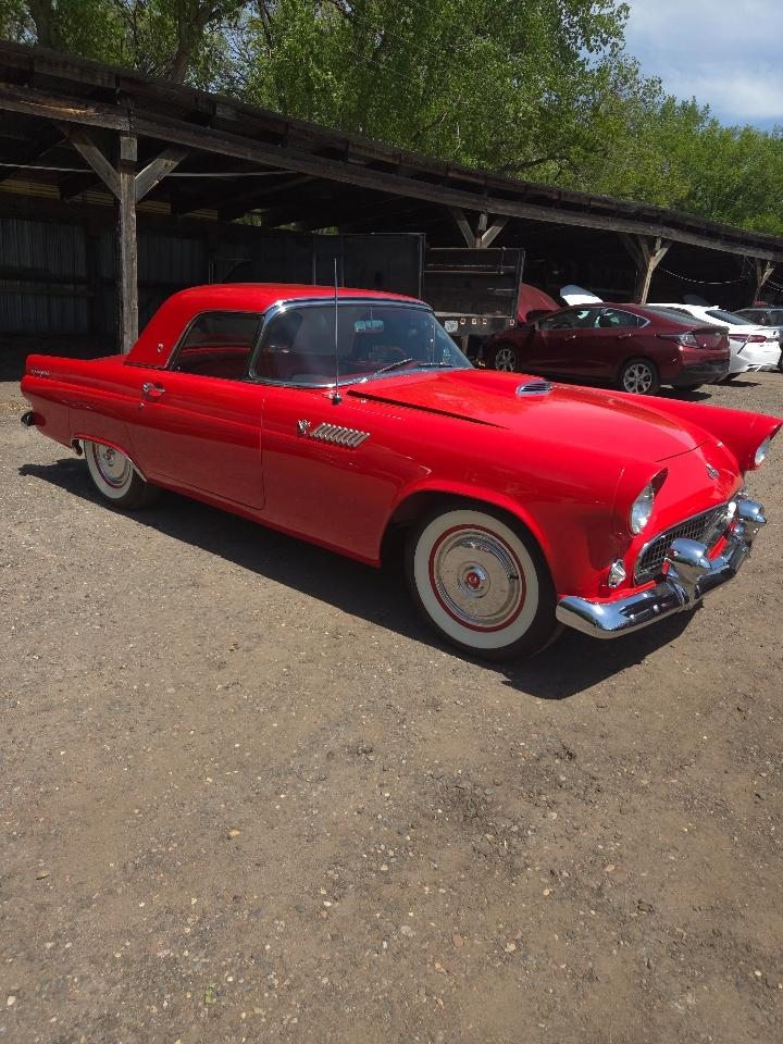 Ford Thunderbird  1955