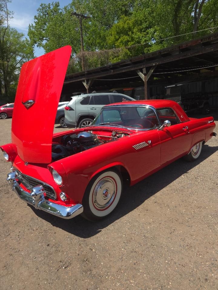 Ford Thunderbird  1955
