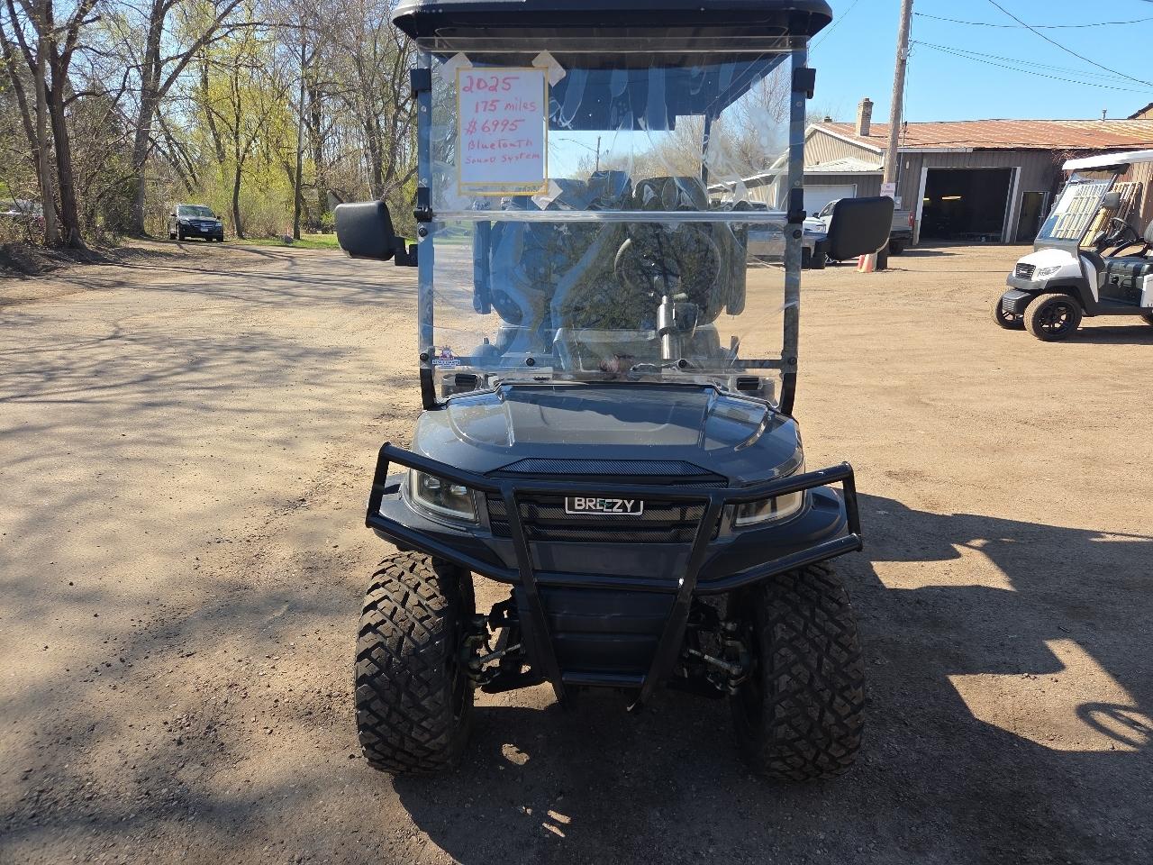 Golf Cart Custom  2025