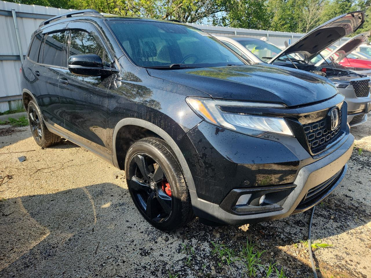 Honda Passport Elite AWD 2019