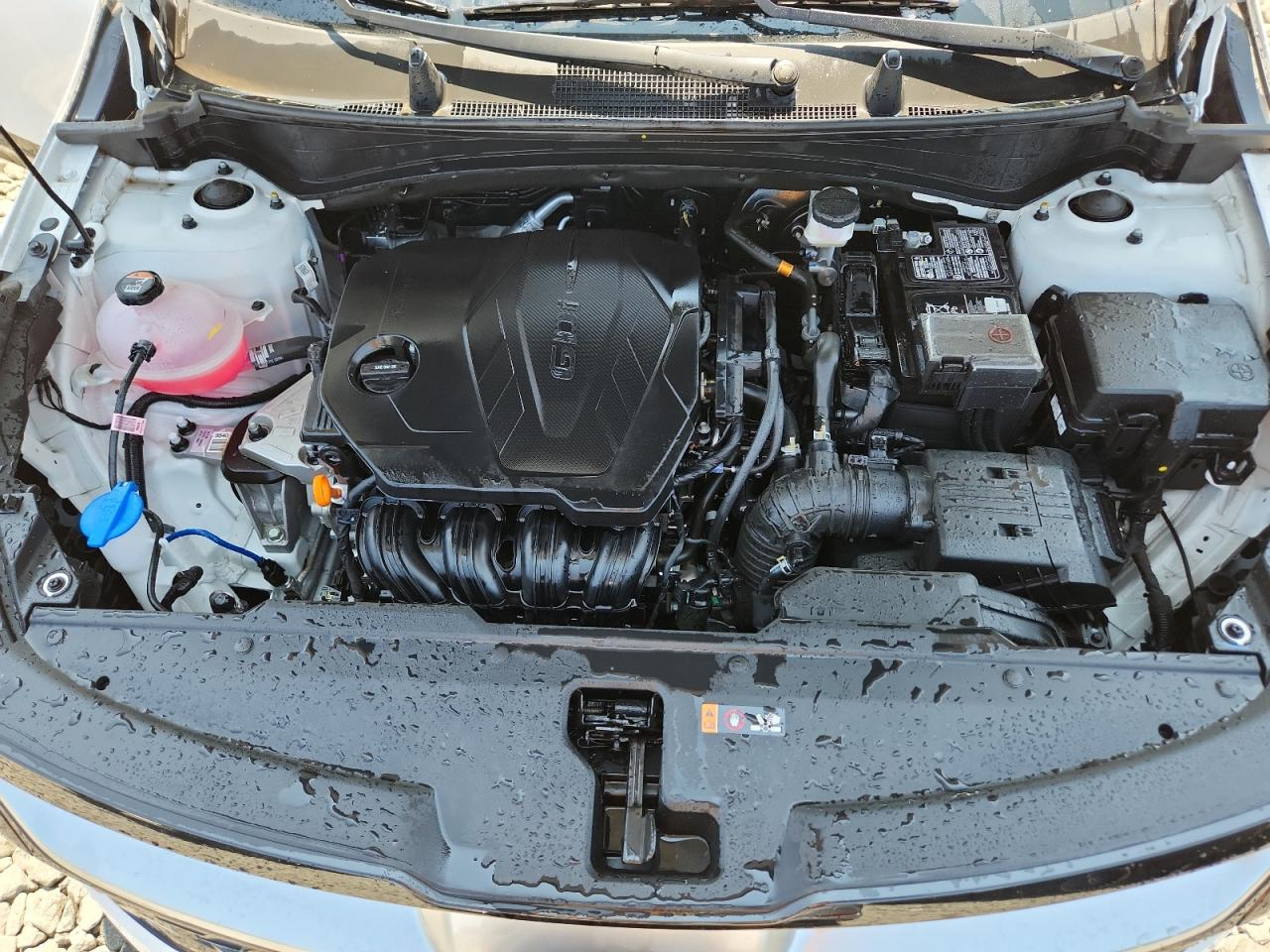 Kia Sportage SX-Prestige AWD 2025