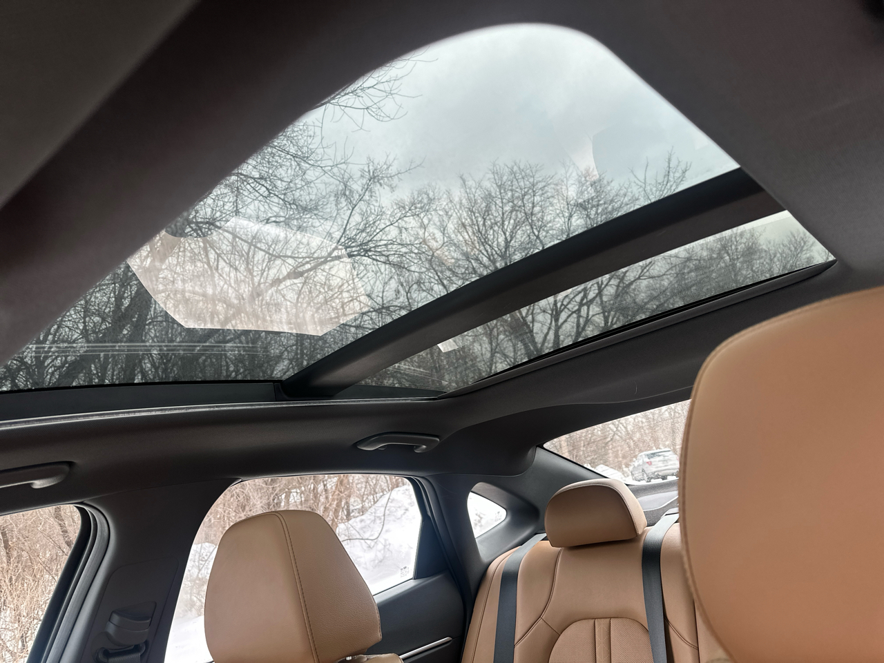 Hyundai Sonata Limited 1.6T 2023