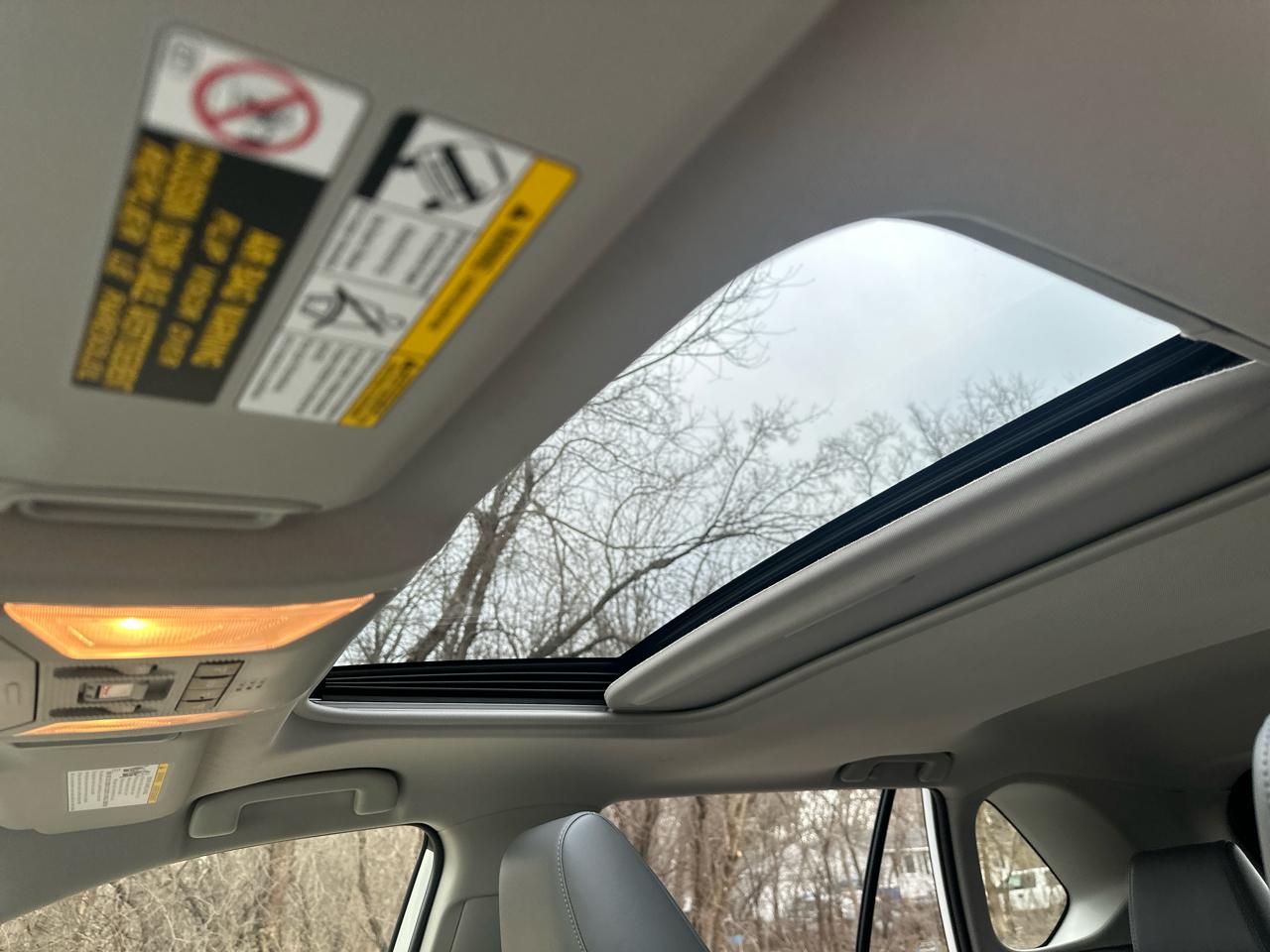 Toyota RAV4 XLE Premium AWD (Natl) 2020