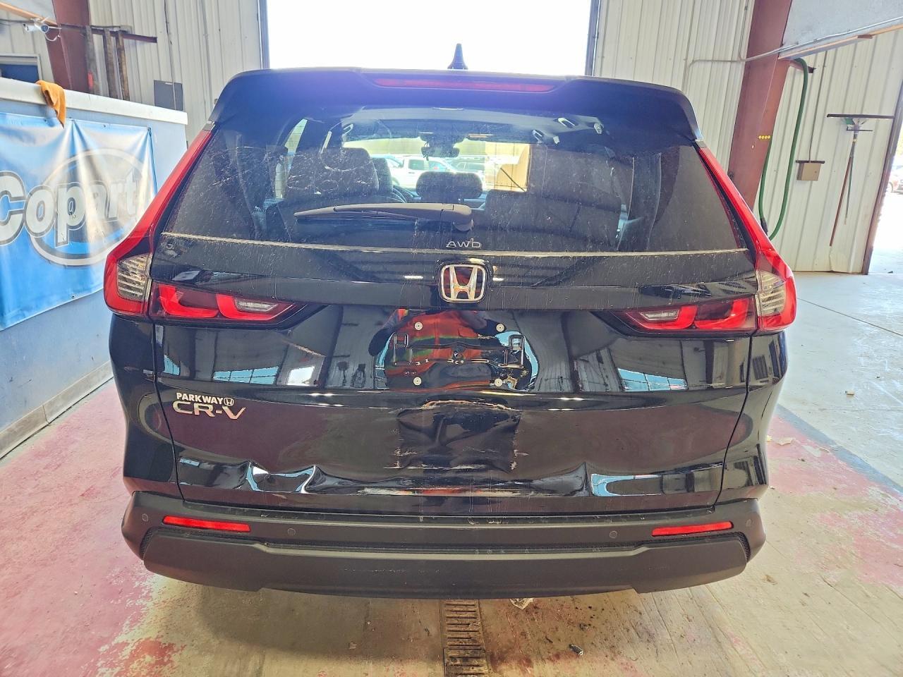 Honda CR-V EX-L AWD 2024