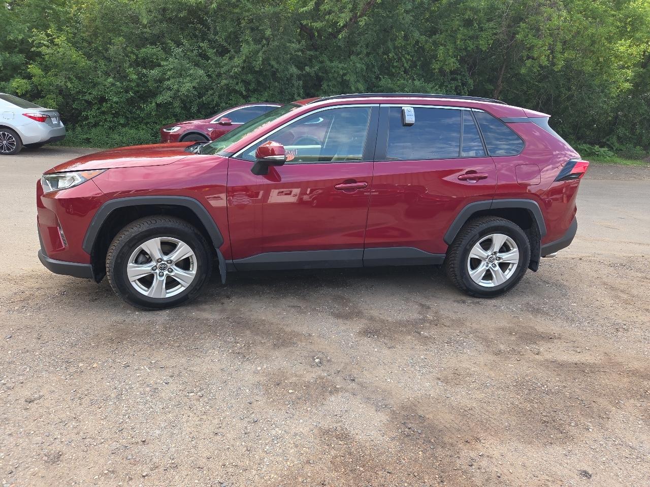 Toyota RAV4 XLE AWD (Natl) 2019