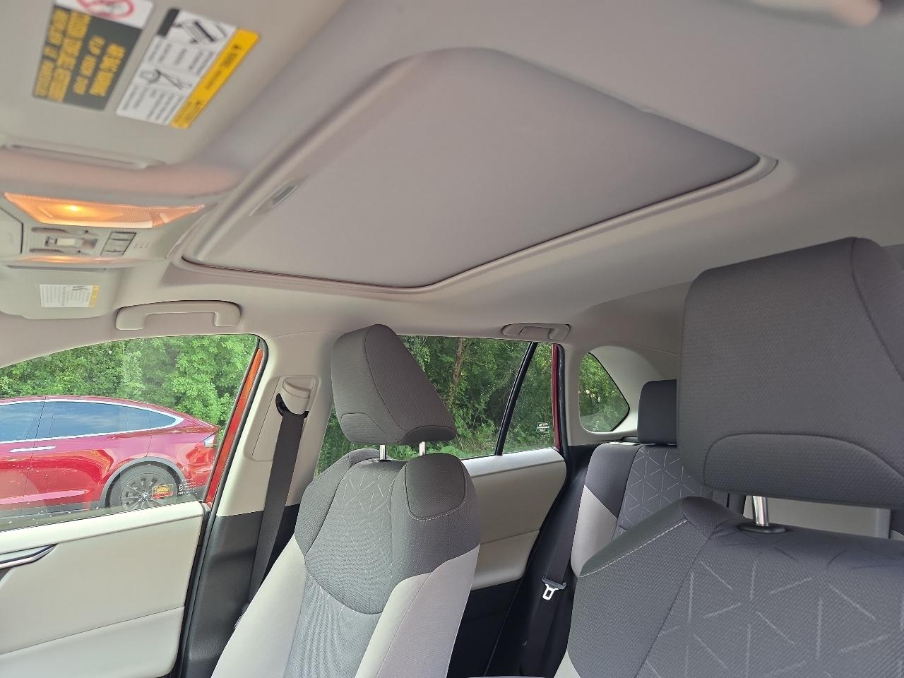 Toyota RAV4 XLE AWD (Natl) 2019