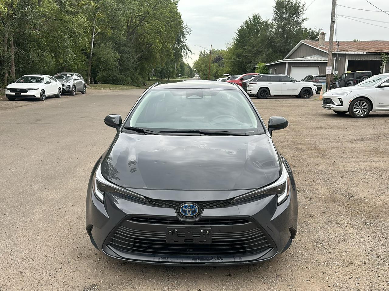 Toyota Corolla Hybrid LE FWD (Natl) 2024