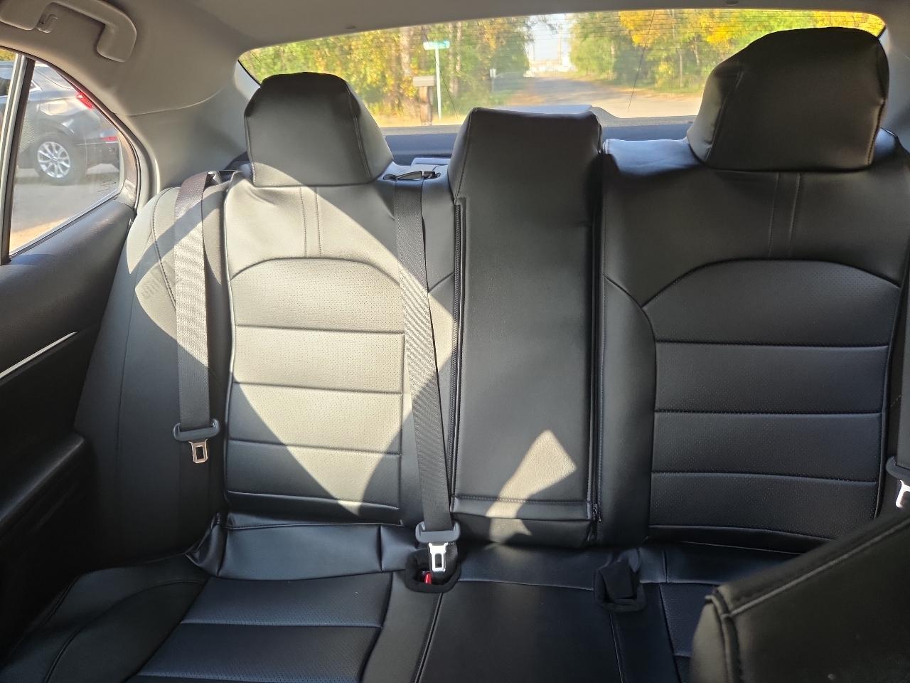 Toyota Camry LE Auto (Natl) 2023