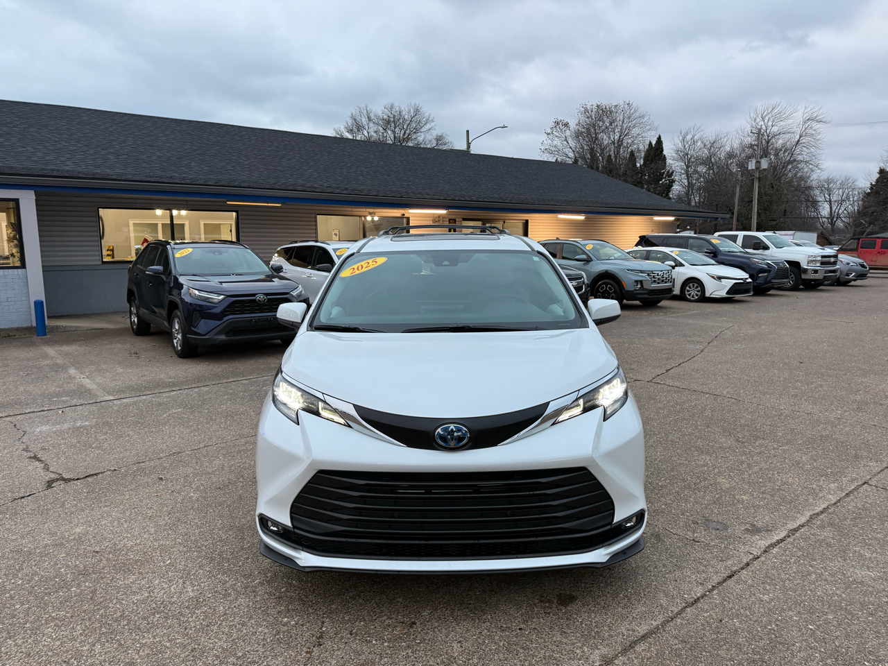 Toyota Sienna XLE AWD 7-Passenger (Natl) 2025