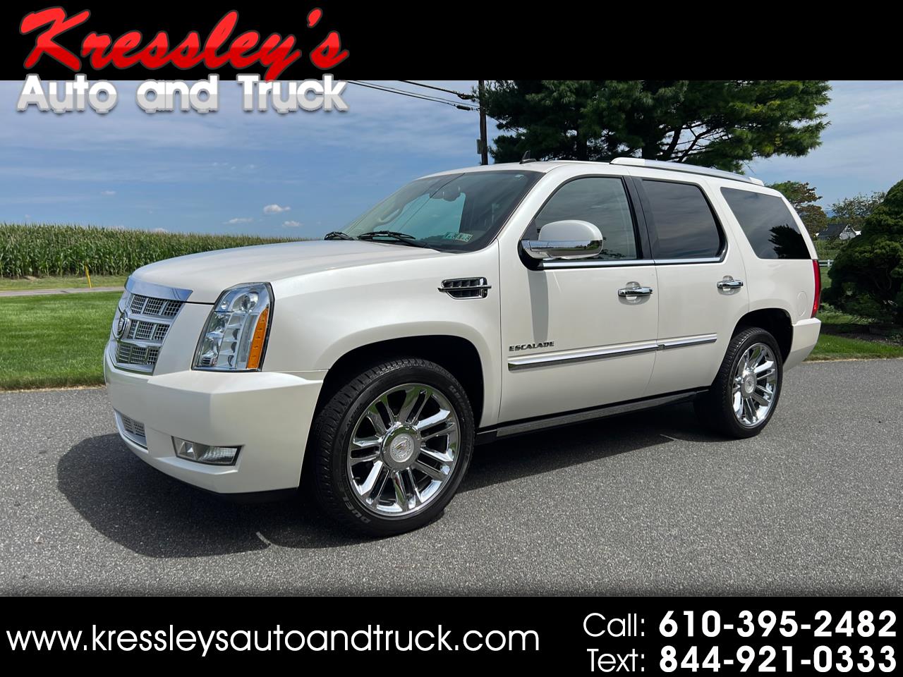 Used 2011 Cadillac Escalade AWD 4dr Platinum Edition for Sale in