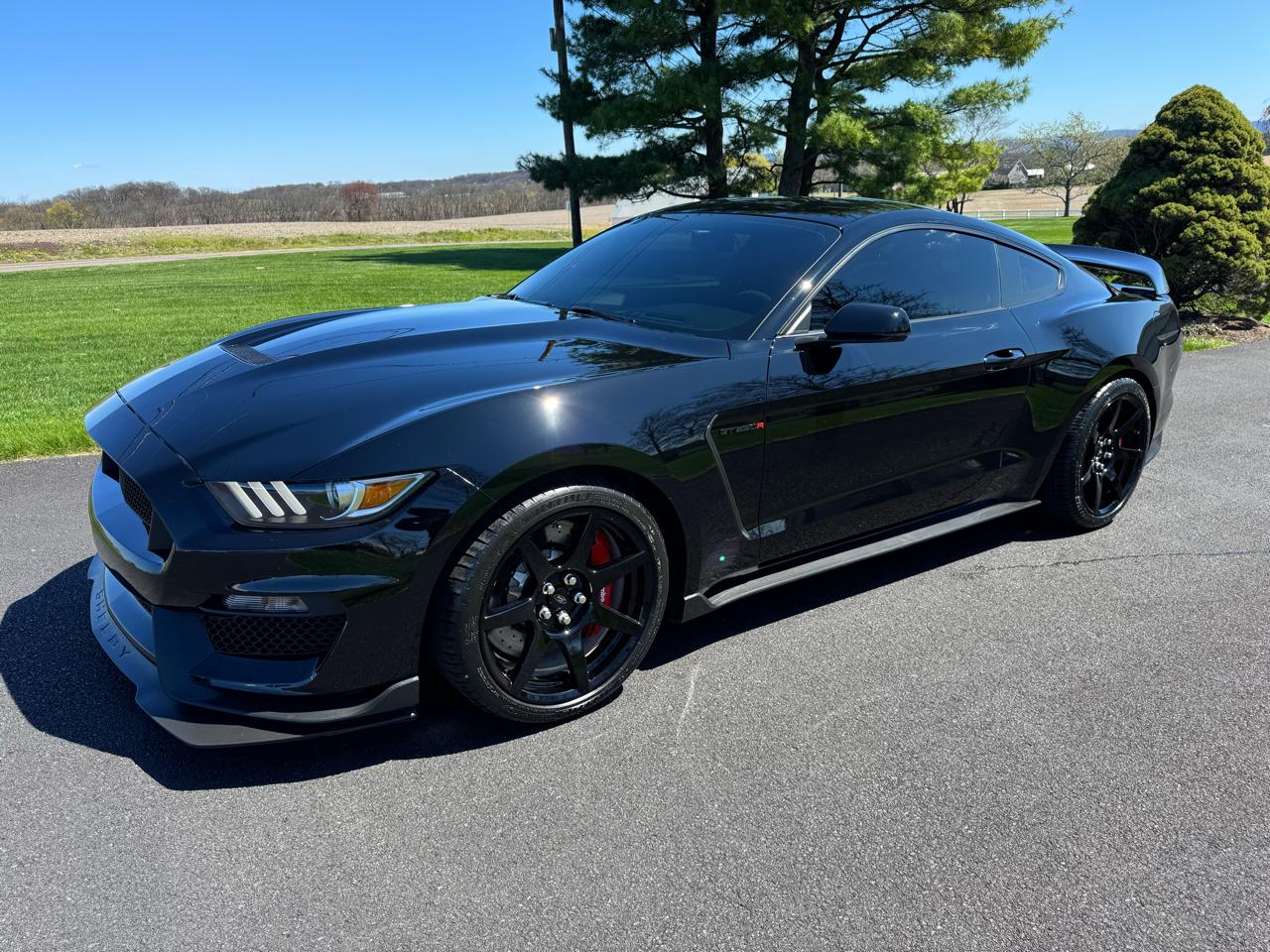 2017 Ford Mustang Shelby GT350R Fastback