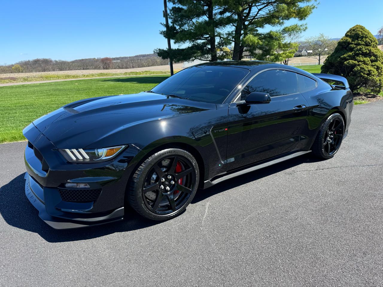 Ford Mustang Shelby GT350R Fastback 2017