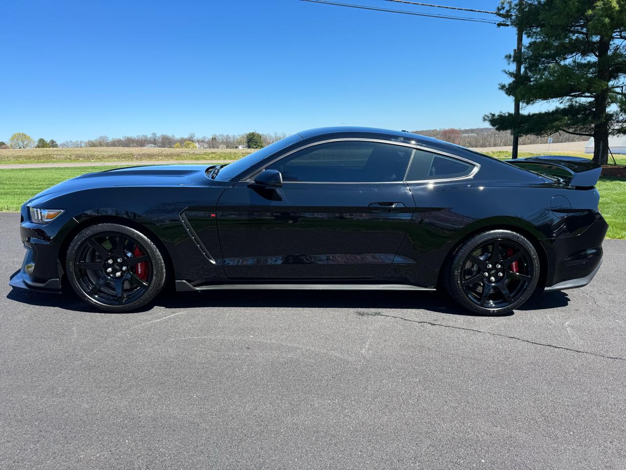 Ford Mustang Shelby GT350R Fastback 2017