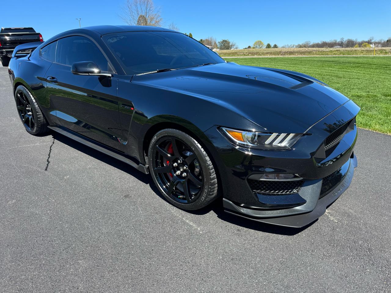 Ford Mustang Shelby GT350R Fastback 2017