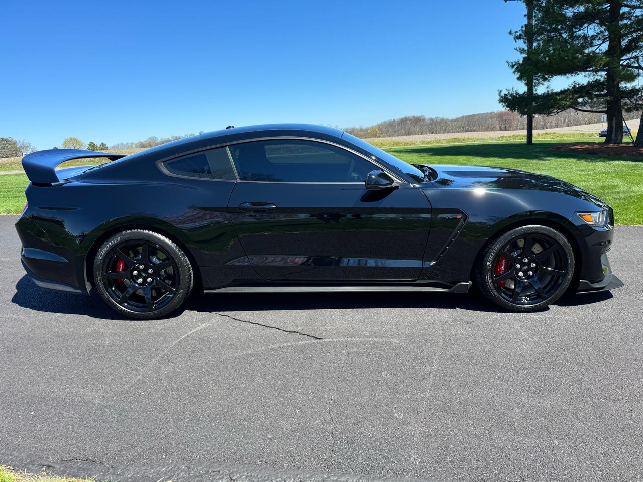 Ford Mustang Shelby GT350R Fastback 2017