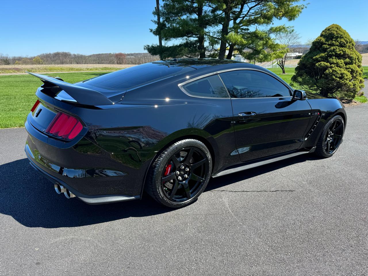 Ford Mustang Shelby GT350R Fastback 2017
