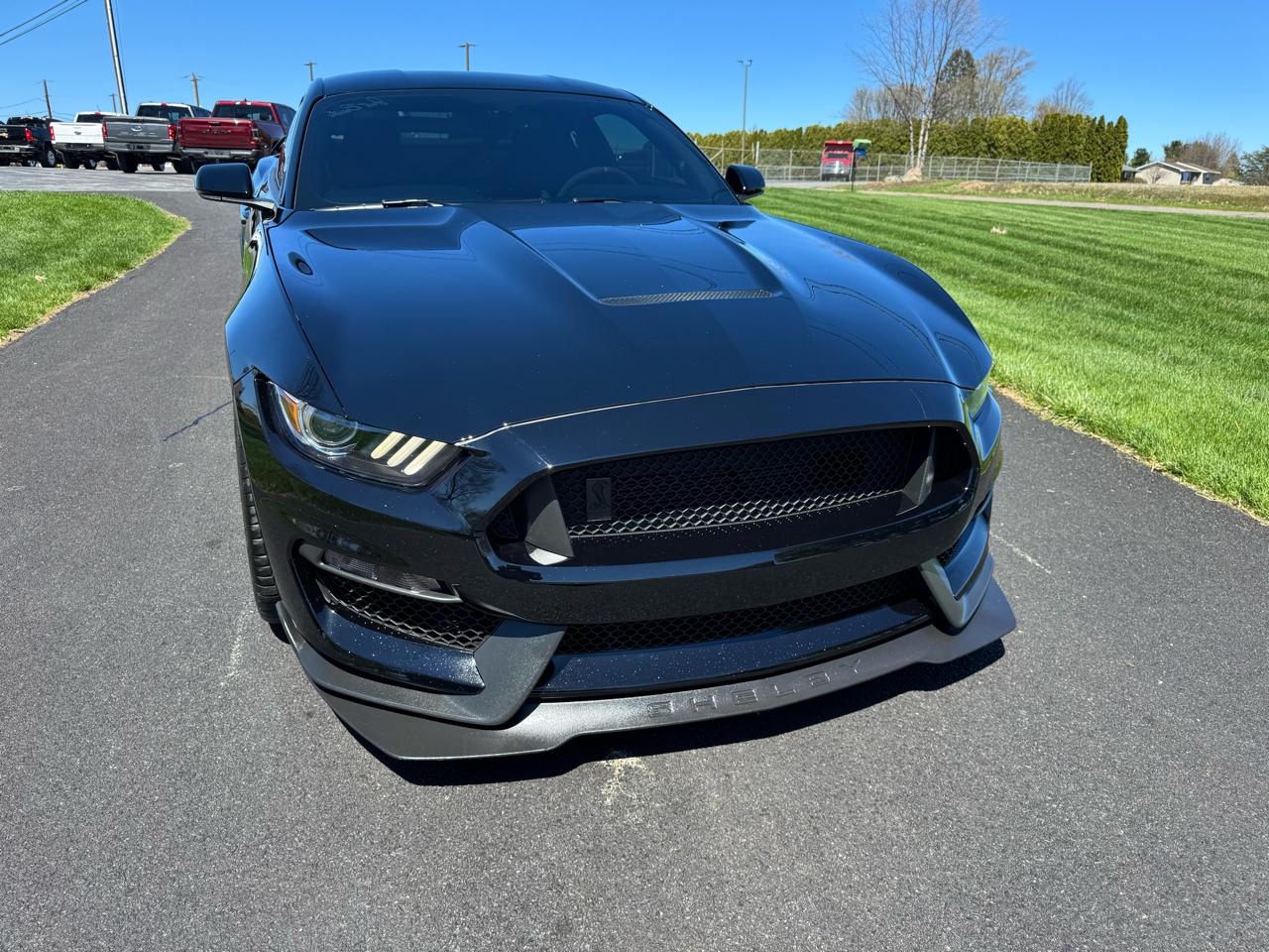 Ford Mustang Shelby GT350R Fastback 2017