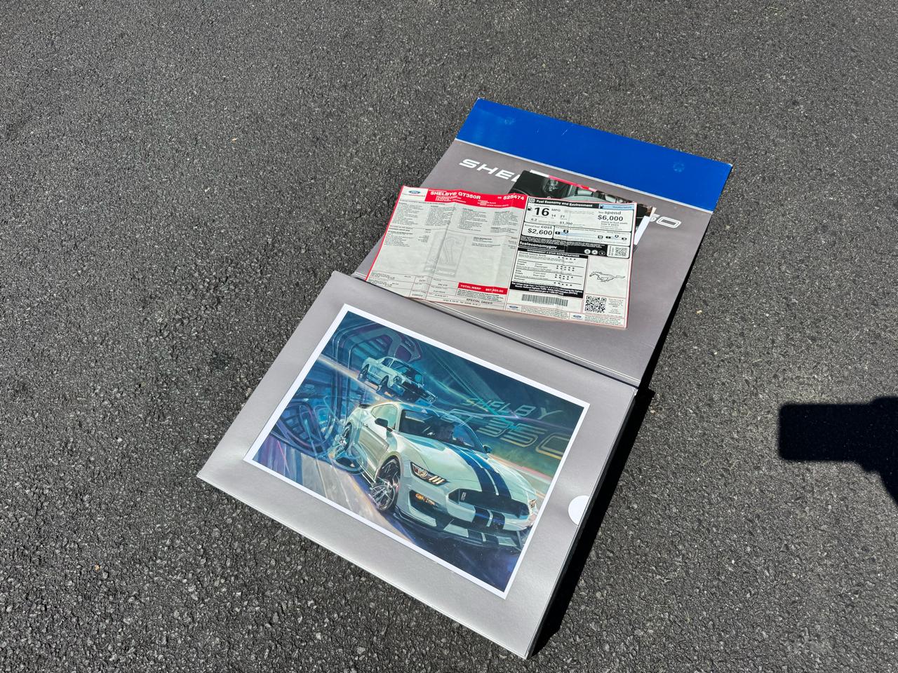 Ford Mustang Shelby GT350R Fastback 2017