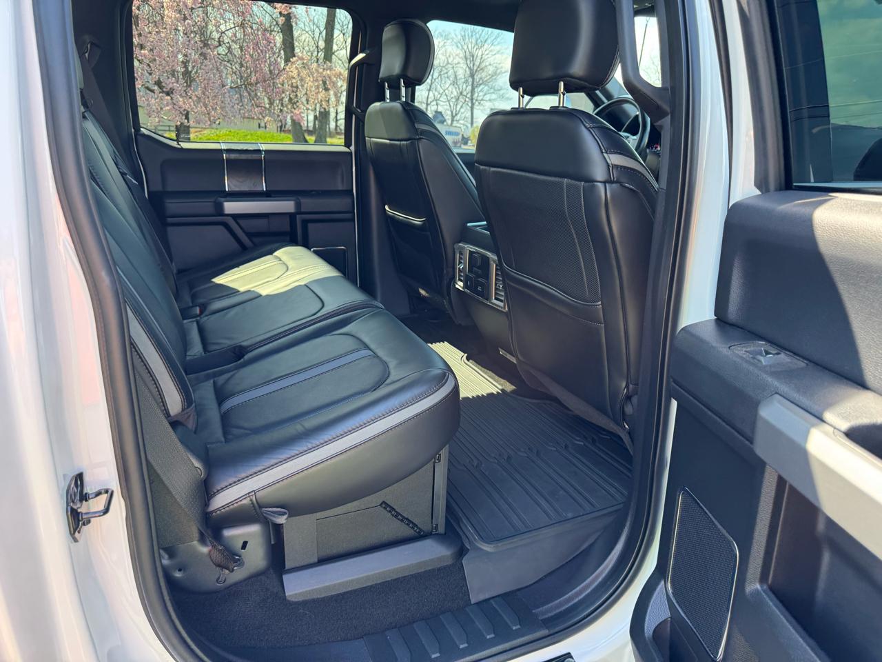 Ford Super Duty F-250 SRW Platinum 4WD Crew Cab 6.75' Box 2019