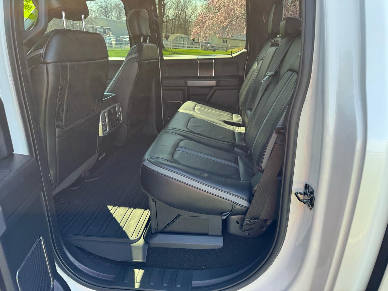 Ford Super Duty F-250 SRW Platinum 4WD Crew Cab 6.75' Box 2019