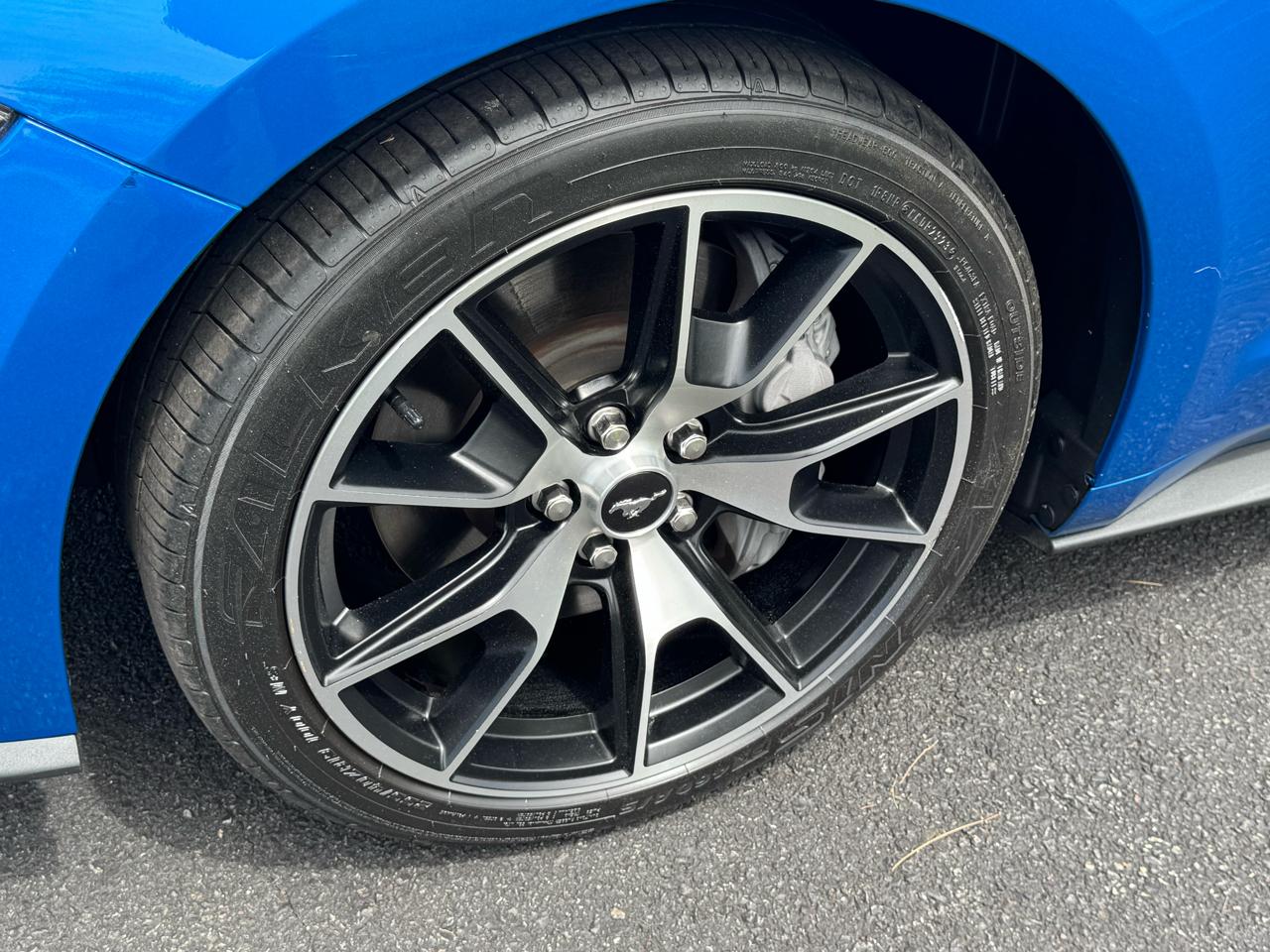 Ford Mustang EcoBoost Fastback 2021