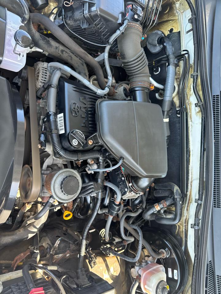 Toyota Tacoma 4WD Access I4 MT (Natl) 2009