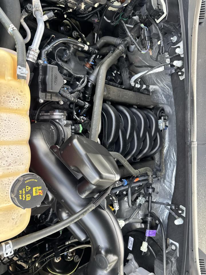 Ford F-150 4WD SuperCrew 145" XLT 2016