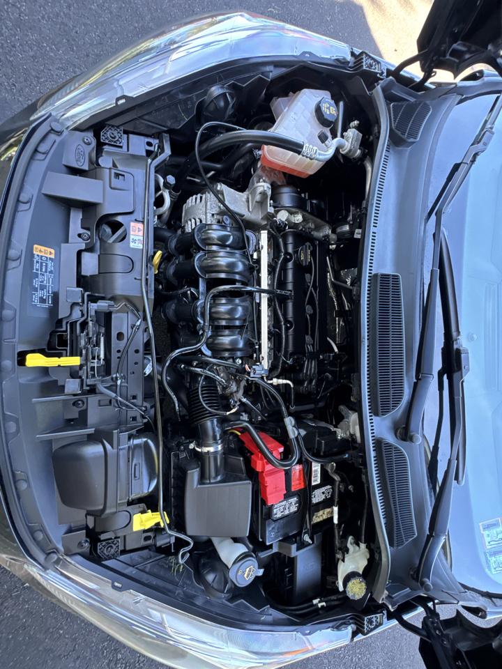 Ford Fiesta SE Hatch 2019