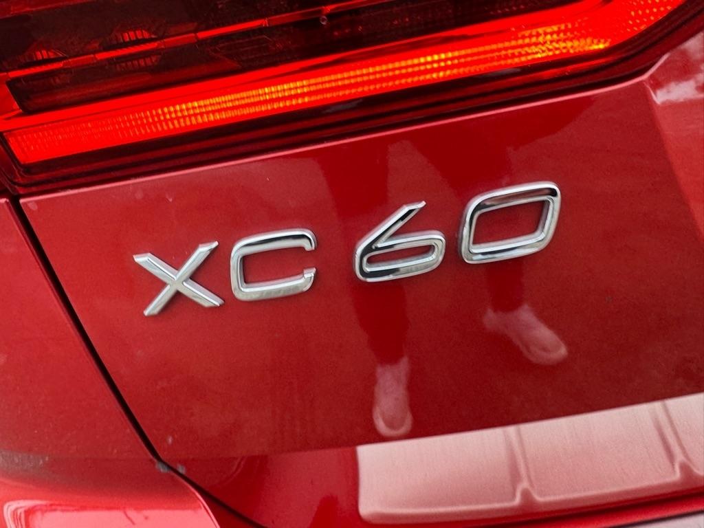 Volvo XC60 T5 AWD Momentum 2019