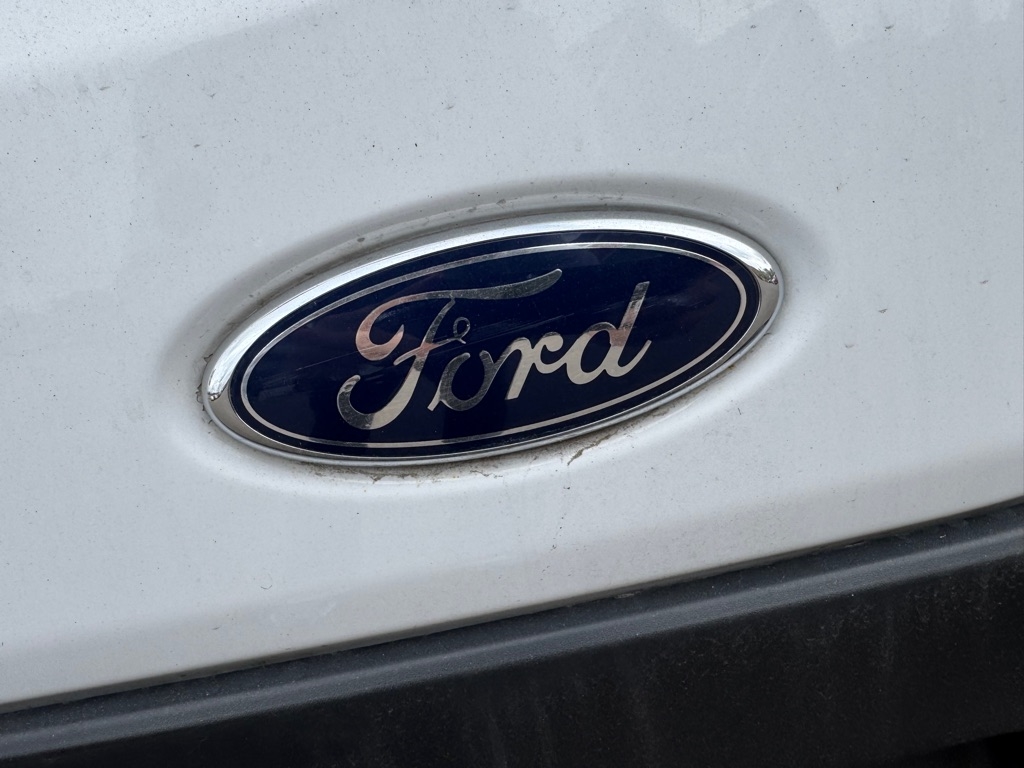 Ford Transit Cargo Van T-250 148" Hi Rf 9070 GVWR RWD 2020 Ford Transit Cargo Van T-250 148" Hi Rf 9070 GVWR RWD 2020