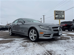 2014 Mercedes-Benz CLS-Class 
