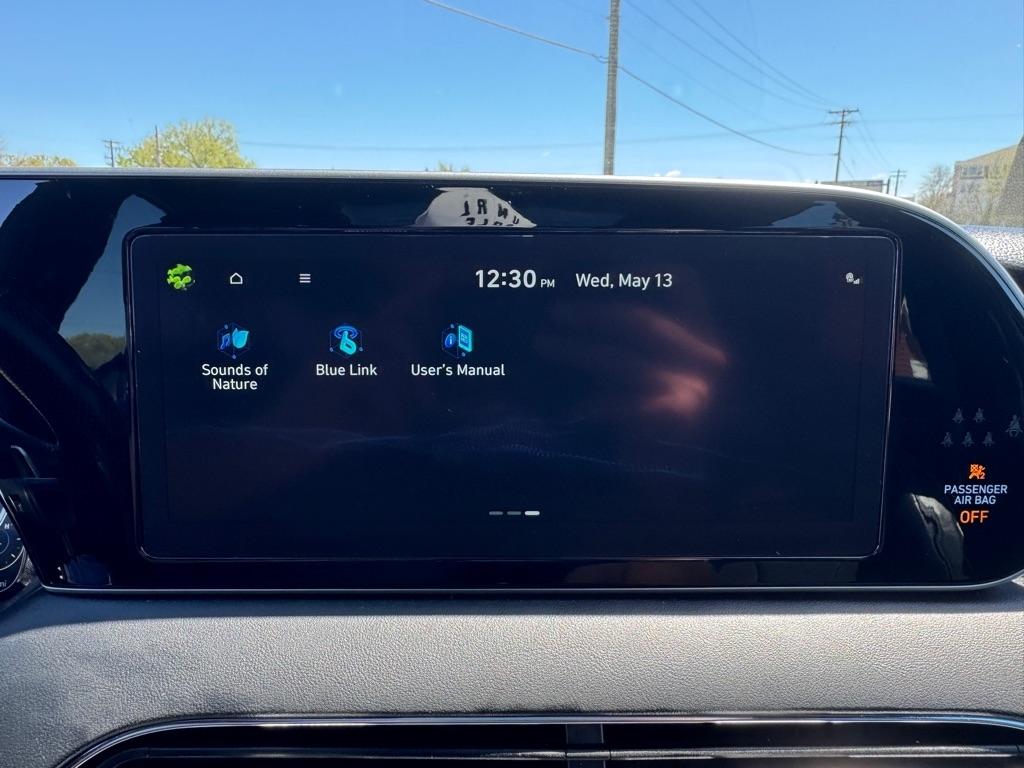 Hyundai Palisade  2021