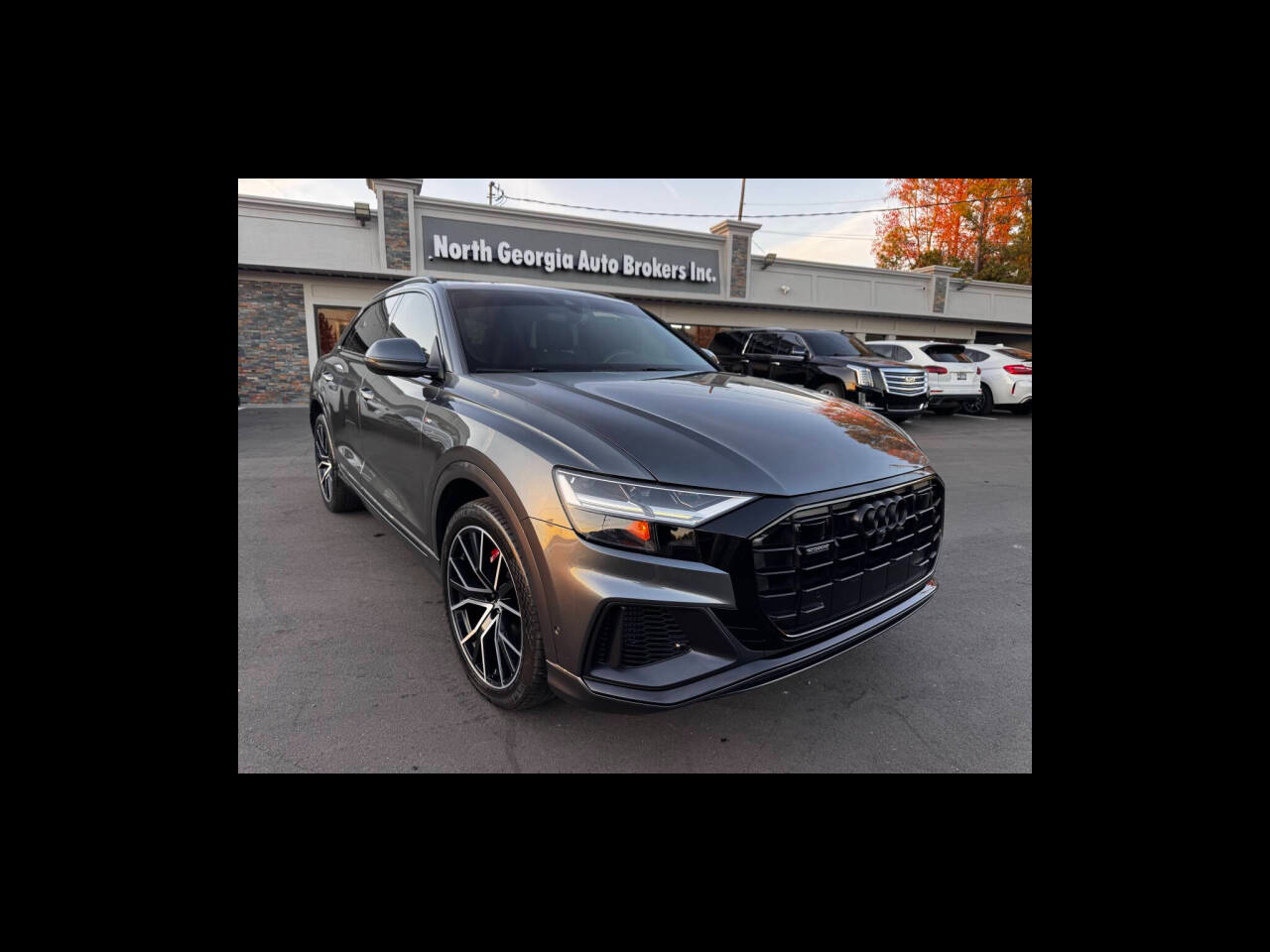 2019 Audi Q8 Premium Plus 55 TFSI quattro