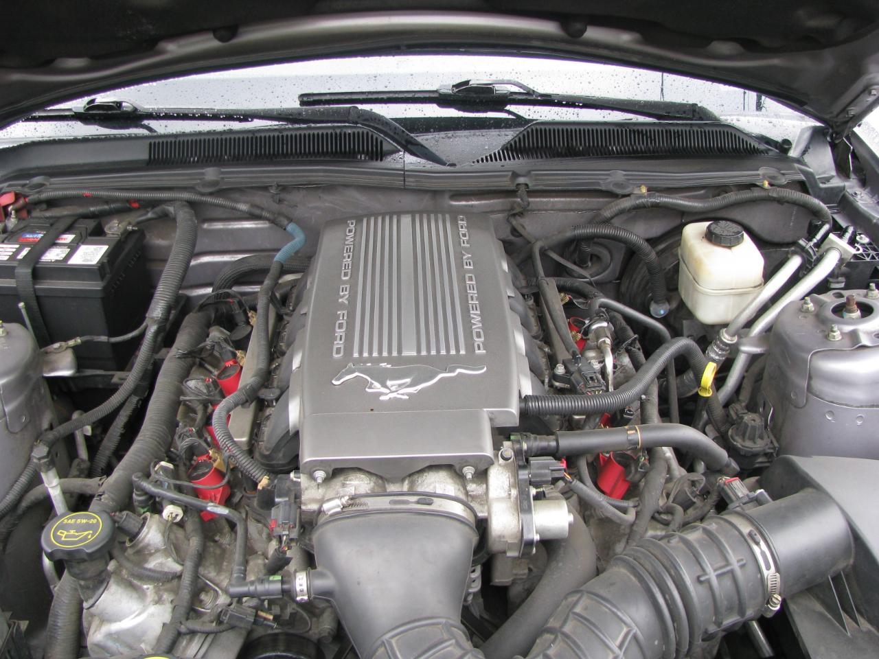 Ford Mustang 2dr Cpe GT Deluxe 2007