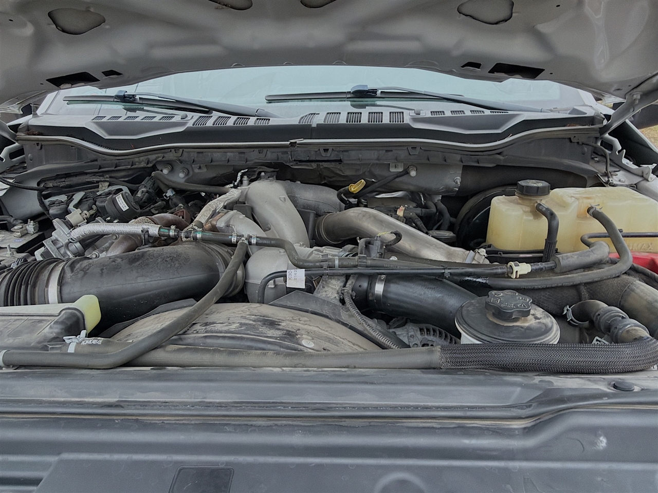 Ford Super Duty F-250 SRW King Ranch 4WD Crew Cab 8' Box 2020