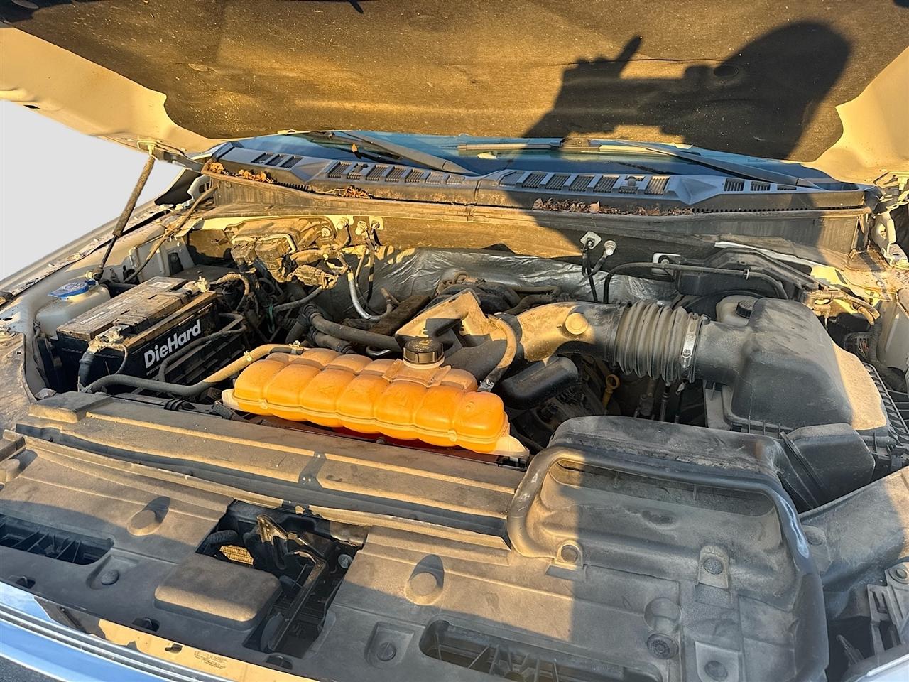 Ford F-150 4WD SuperCrew 145" XLT 2016