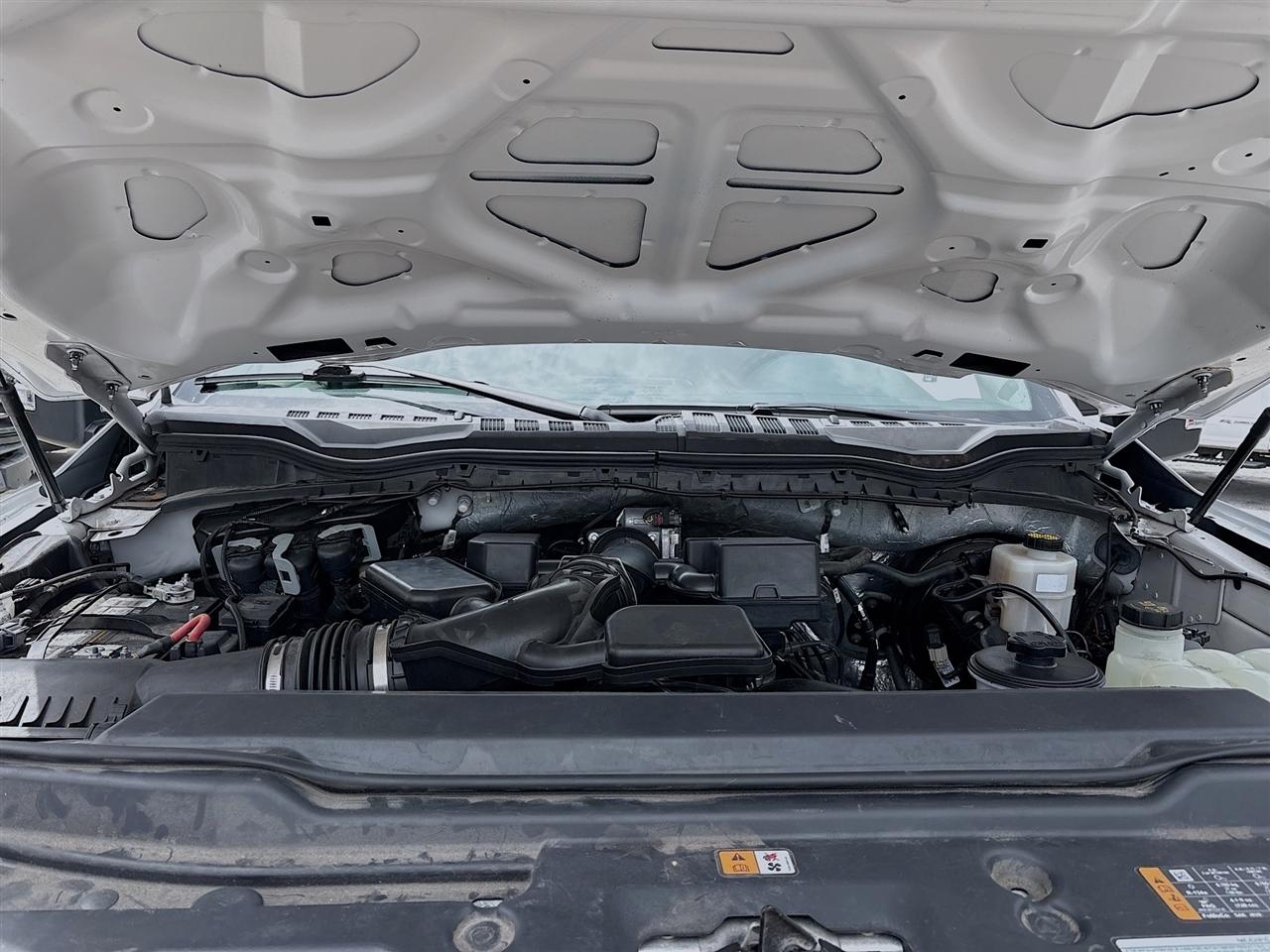 Ford Super Duty F-350 SRW King Ranch 4WD Crew Cab 8' Box 2022