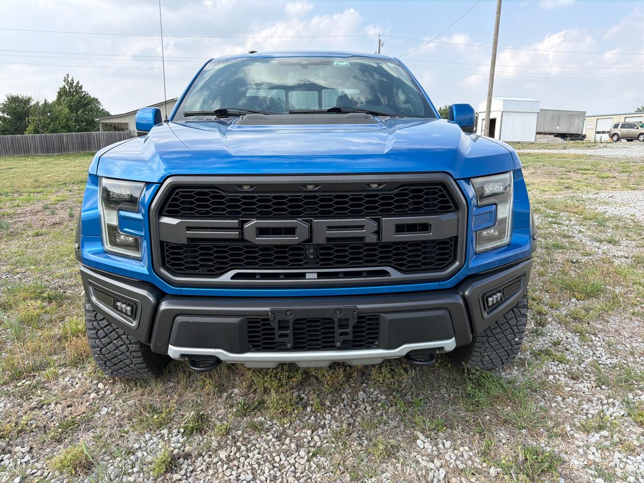 Ford F-150 4WD SuperCrew 145" SVT Raptor 2019