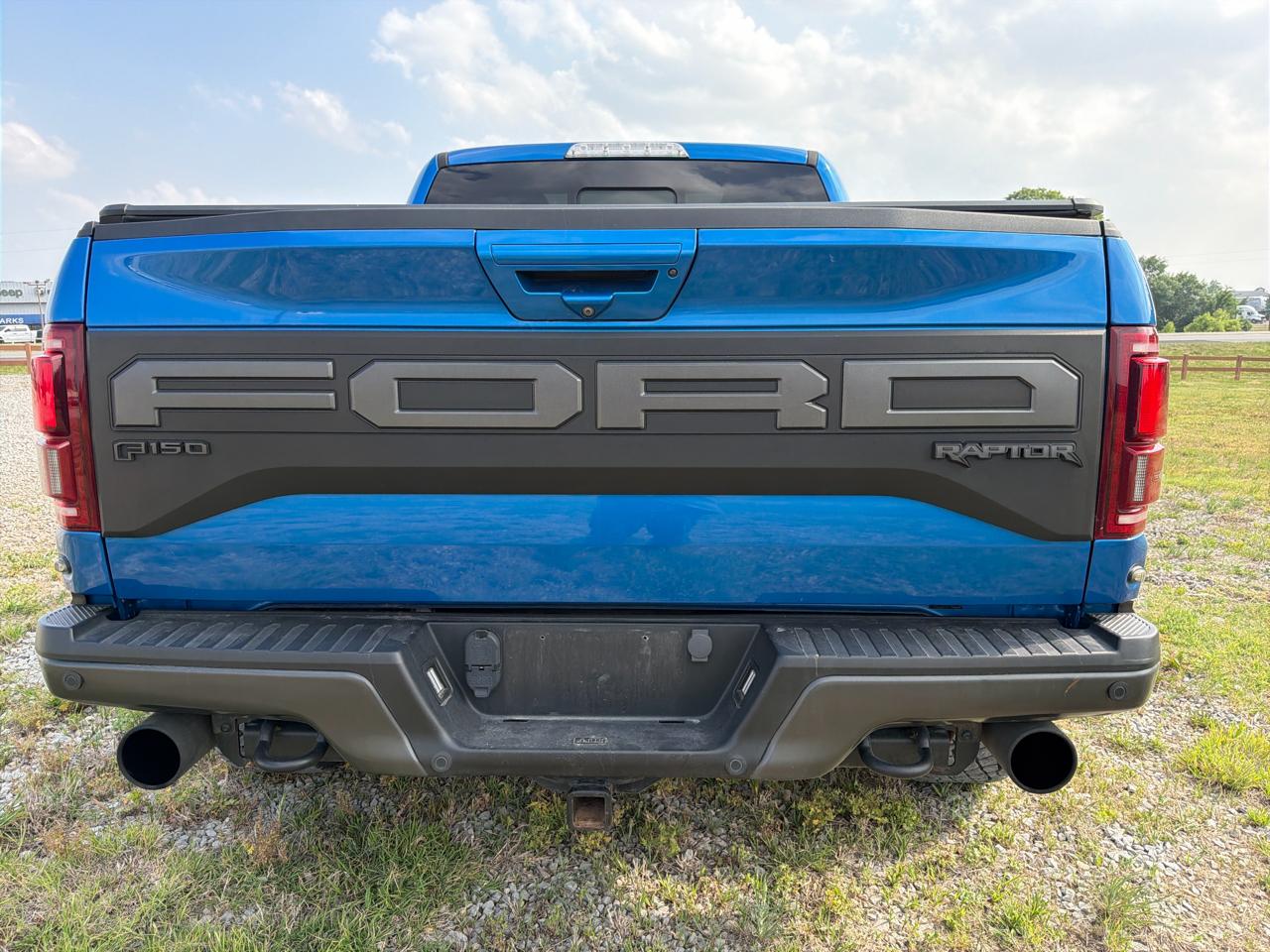 Ford F-150 4WD SuperCrew 145" SVT Raptor 2019