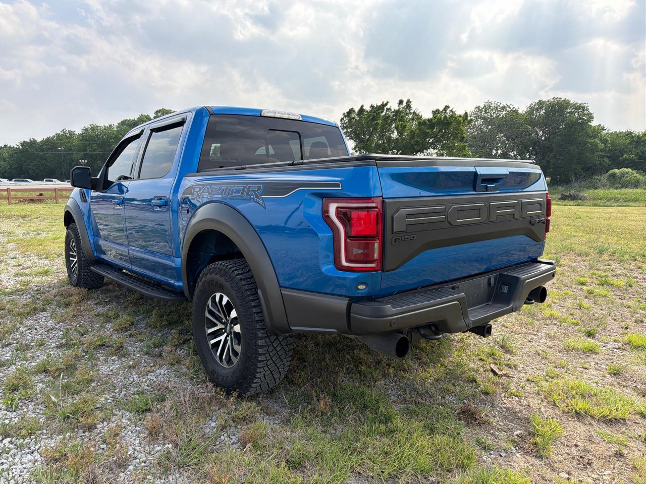 Ford F-150 4WD SuperCrew 145" SVT Raptor 2019