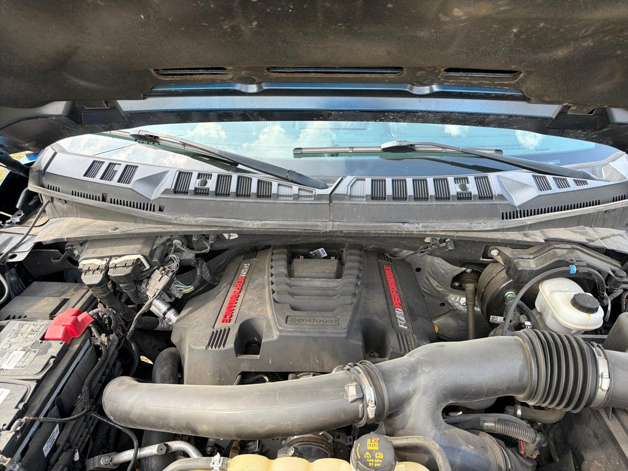 Ford F-150 4WD SuperCrew 145" SVT Raptor 2019