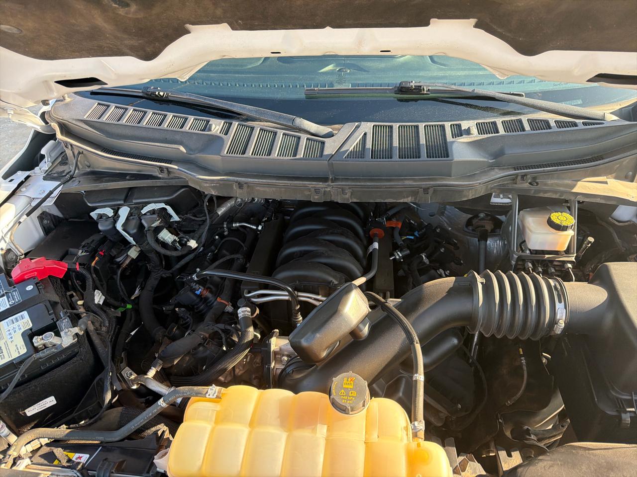 Ford F-150 XLT SuperCrew 6.5-ft. Bed 4WD 2021