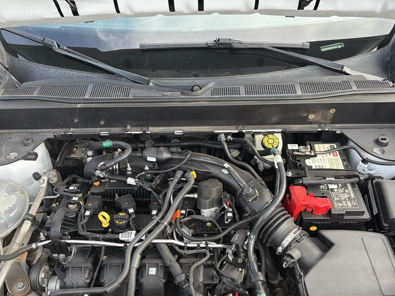 Ford Maverick XL 2022