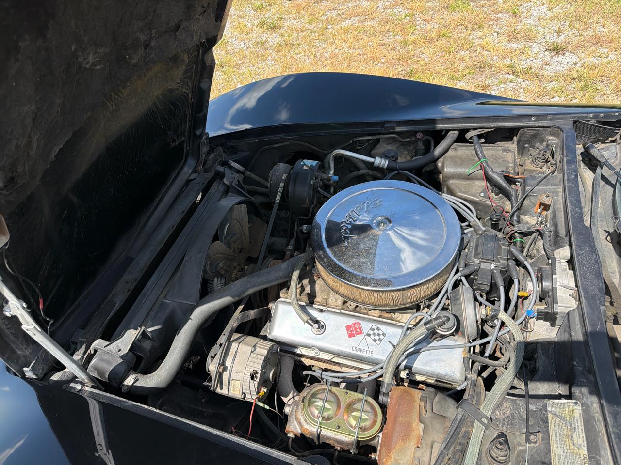 Chevrolet Corvette  1978