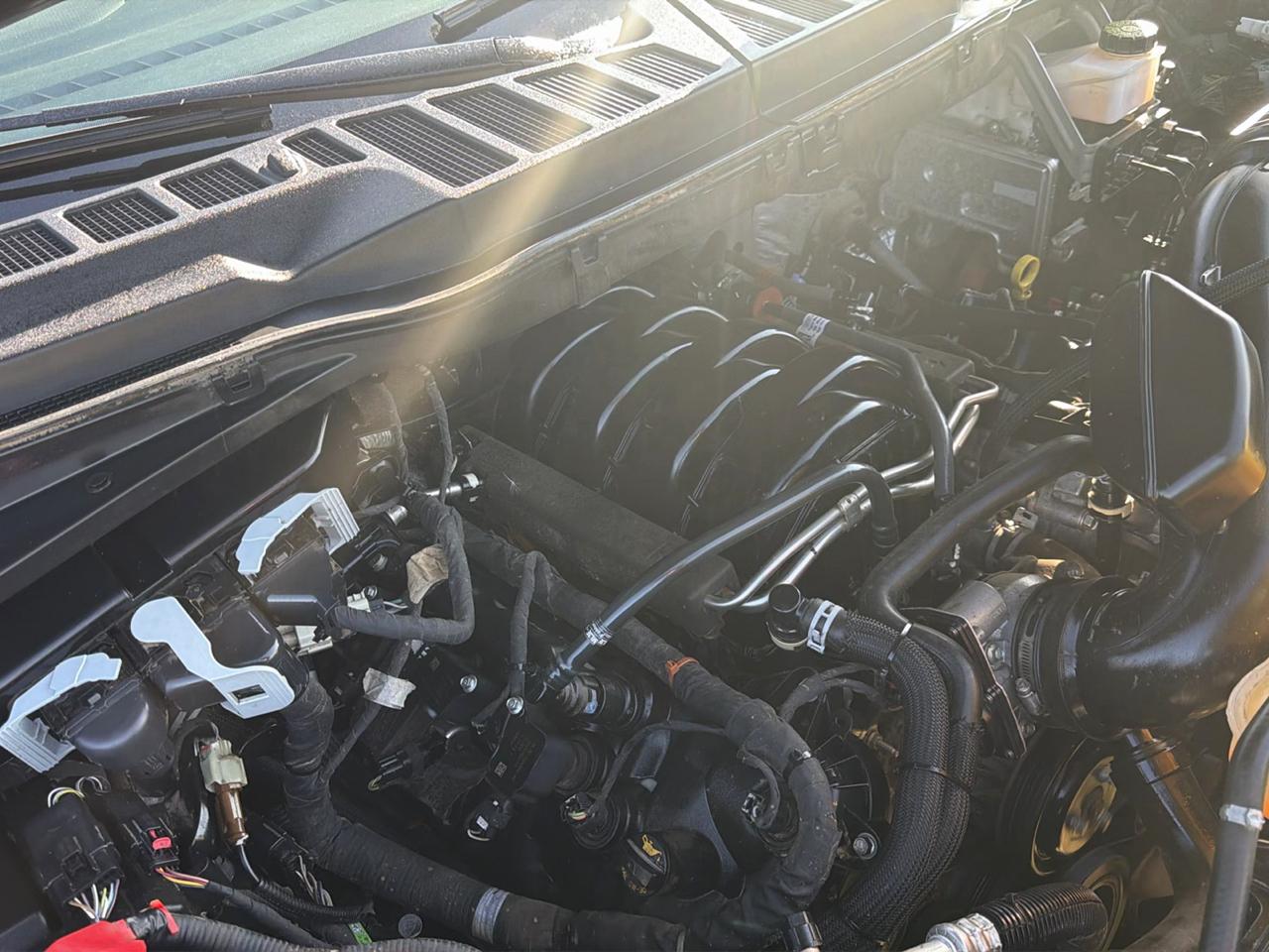 Ford F-150 FX4 SuperCrew Short Box 2024