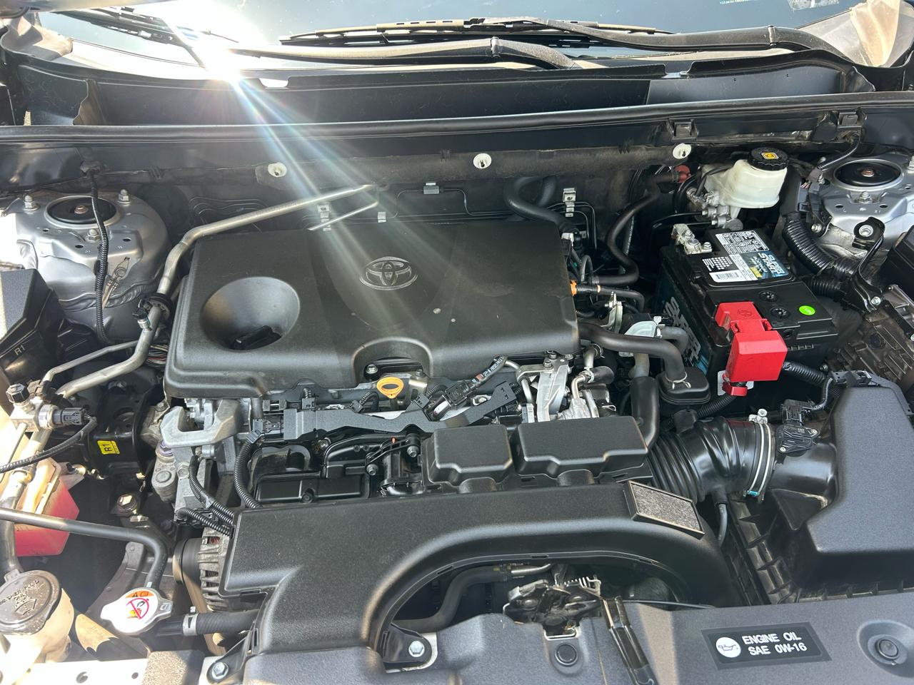 Toyota RAV4 XLE FWD (Natl) 2019