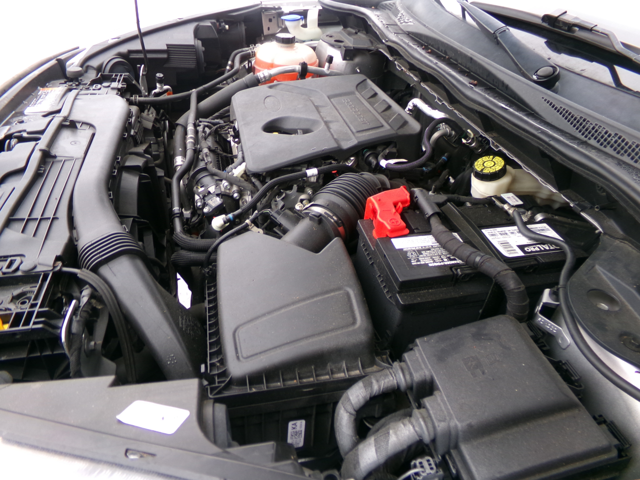 Ford ESCAPE SE  2020